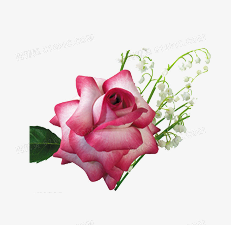 鲜花