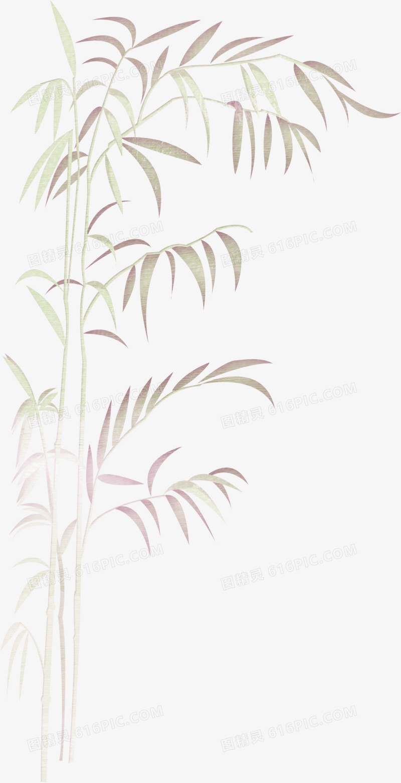 竹叶手绘