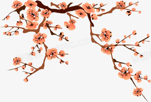 中国风梅花