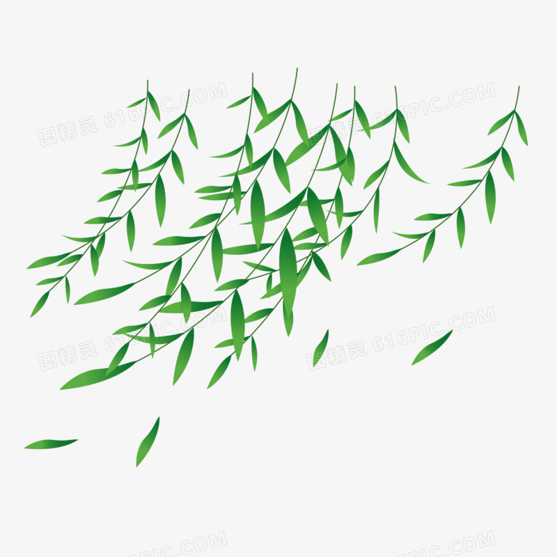 手绘绿色垂柳免抠元素