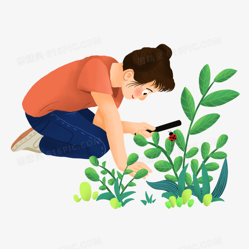 卡通手绘女孩放大镜观察植物昆虫的场景