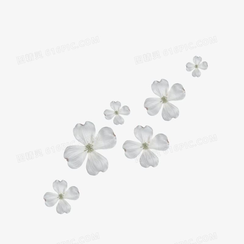古典花纹素材镂空花纹图片  精美白色小花