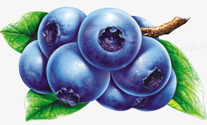 蓝色水果蓝莓