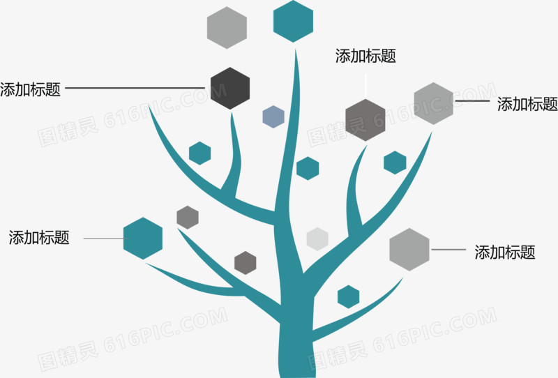 树苗分类介绍图.