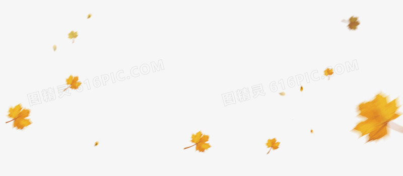 飘叶