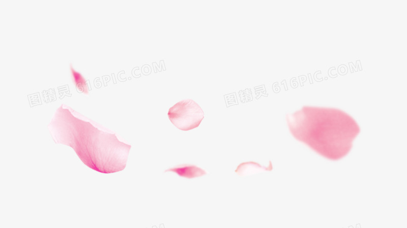 漂浮着的粉色花瓣