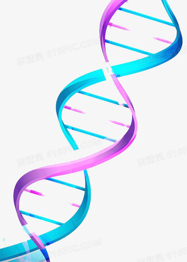 可爱彩色DNA双螺旋基因链