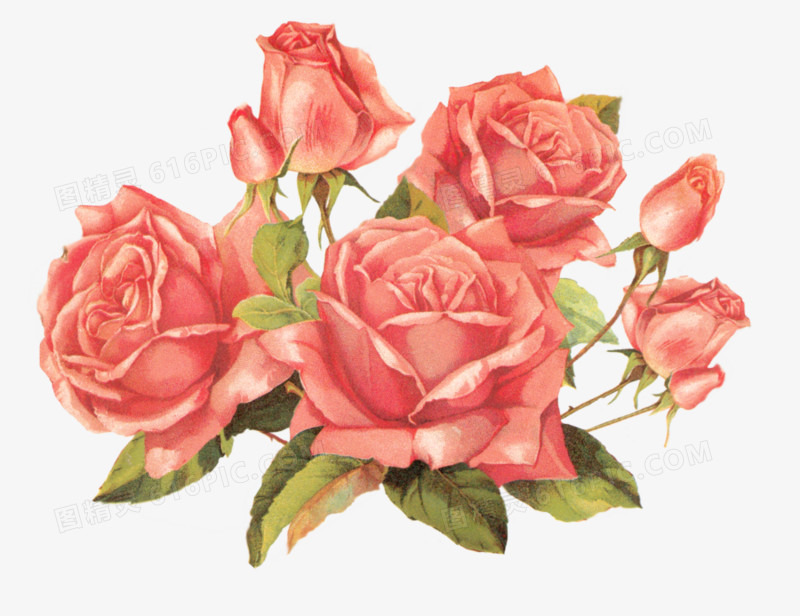 鲜花边框素材抽象花朵素材 唯美玫瑰花花束