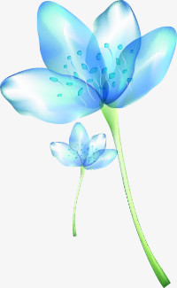 蓝色花卉背景七夕情人节