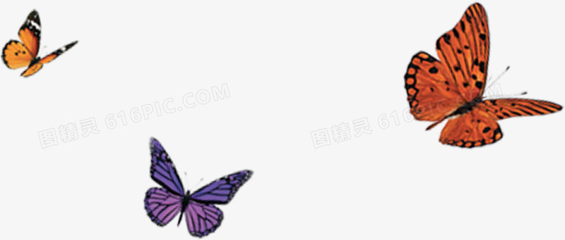 彩色卡通可爱手绘蝴蝶