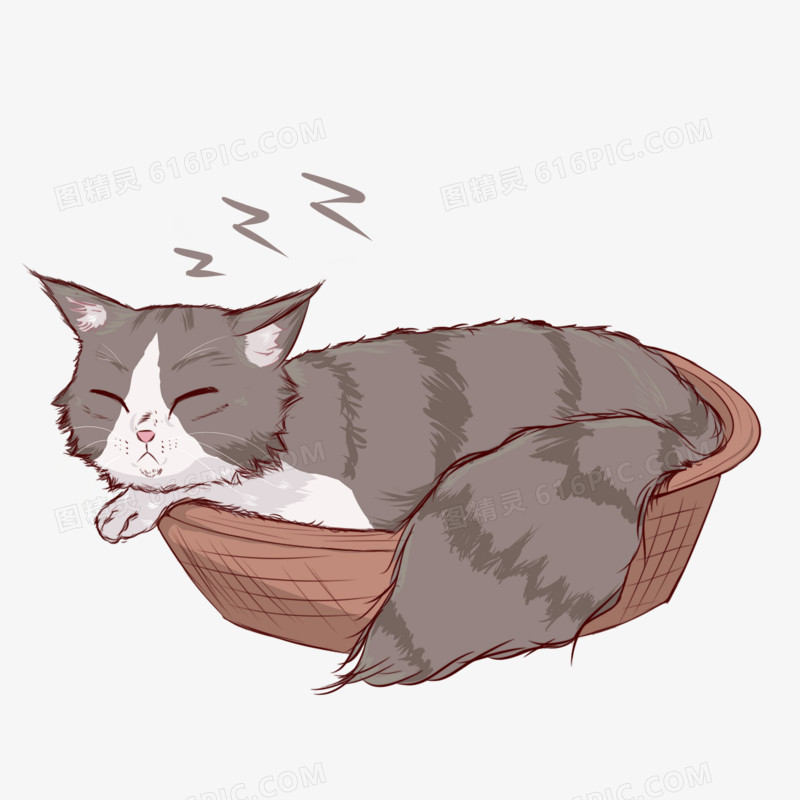 手绘插画正在睡觉的猫咪免抠元素