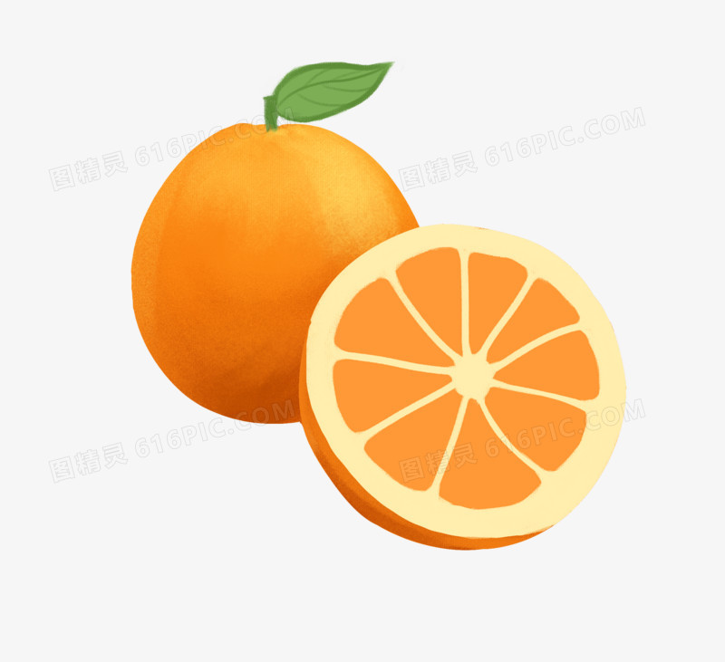 手绘橘子水果元素