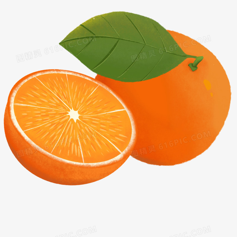 手绘插画风橘子免抠元素