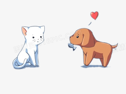 猫和狗