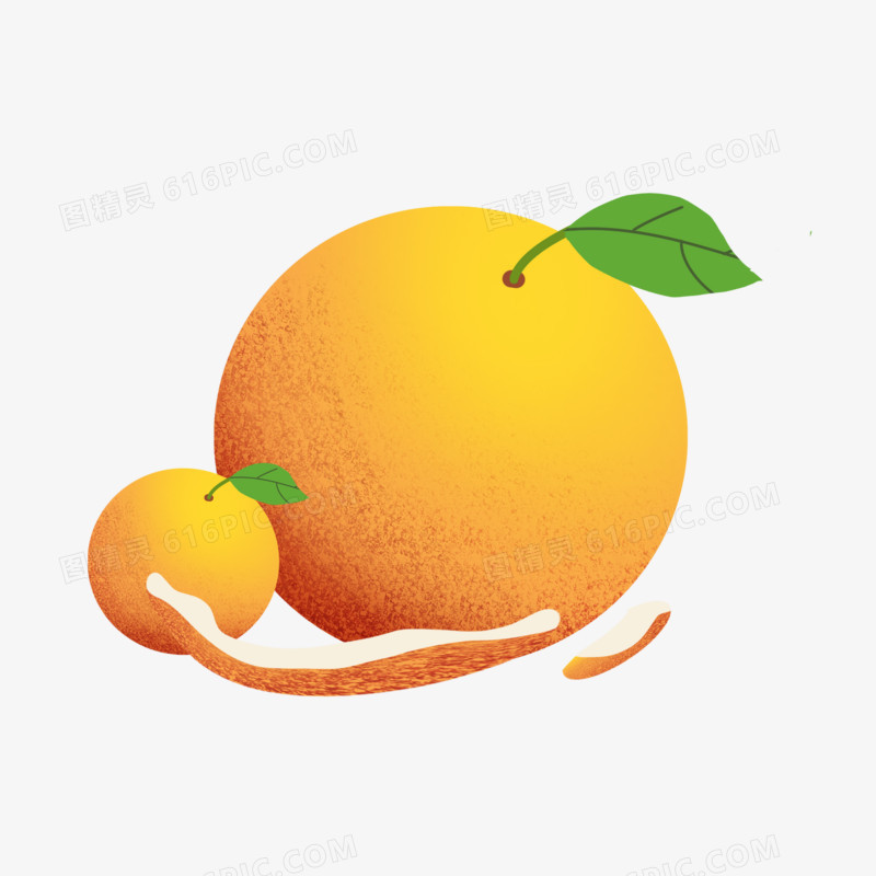 手绘插画风水果橘子元素