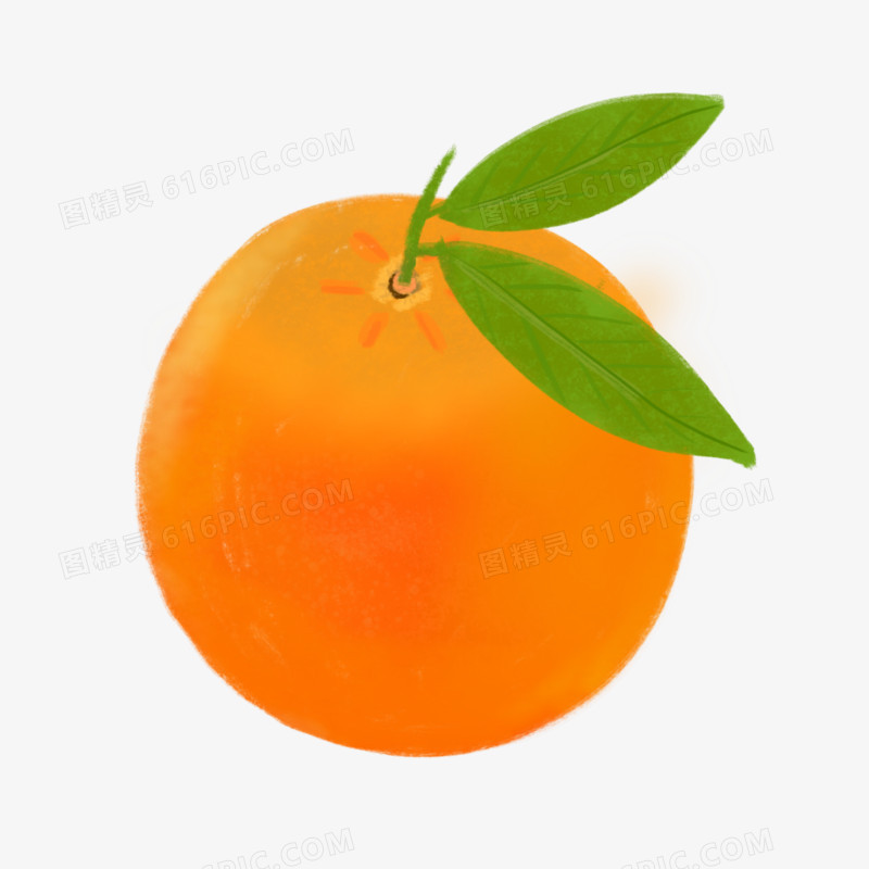 手绘橘色橘子元素
