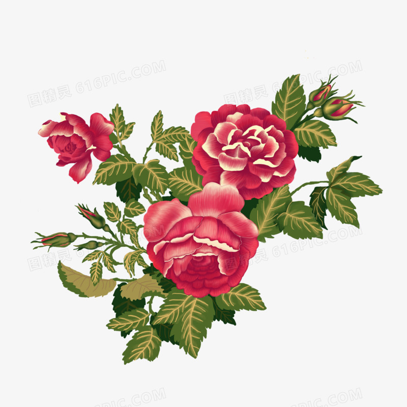 手绘插画红色花卉装饰元素