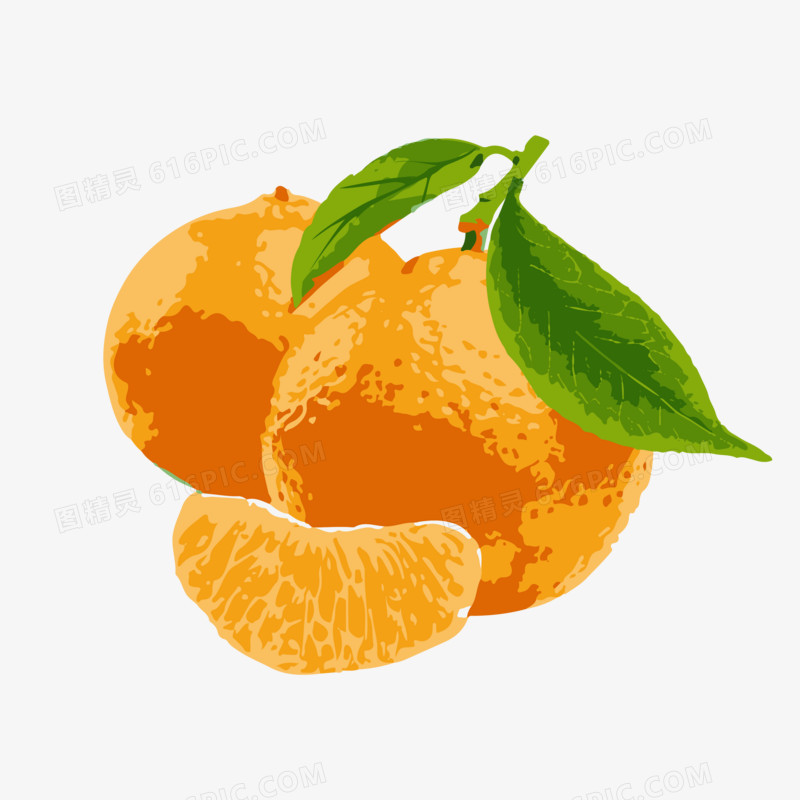 卡通矢量橘子橙子水果素材