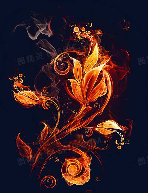 火焰花朵