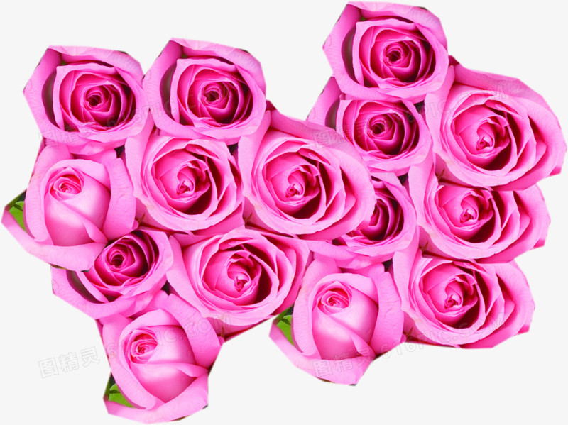 情人节粉色玫瑰花束