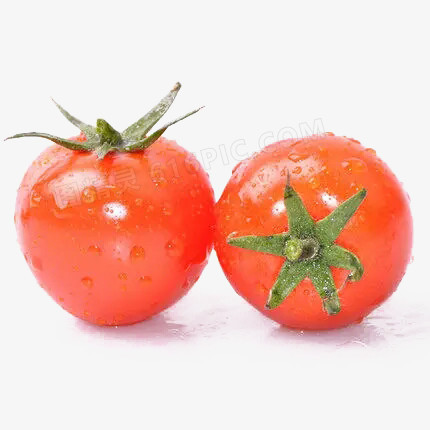 新鲜西红柿免抠图片