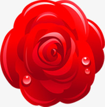 红玫瑰水珠手绘