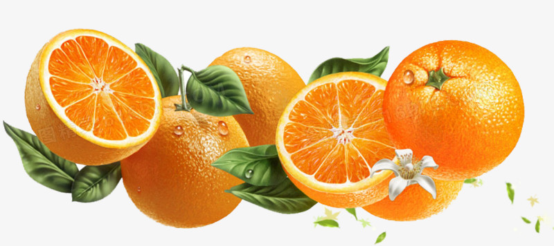 橙子图案图片免费下载_png素材_编号1m9i9er7v_图精灵