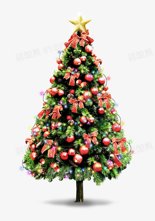 圣诞节中的圣诞树图片免费下载_png素材_编号13gio824