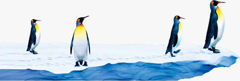 冰面上的企鹅