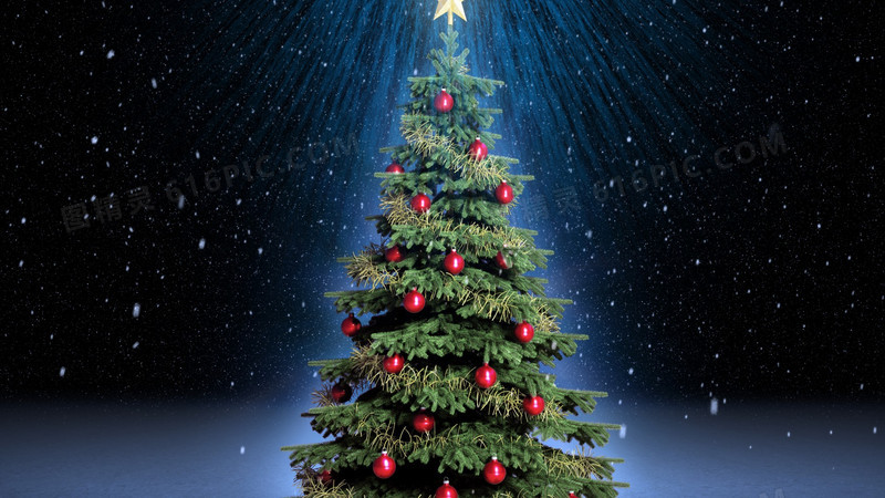星空下的圣诞树圣诞节海报背景