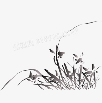 兰花