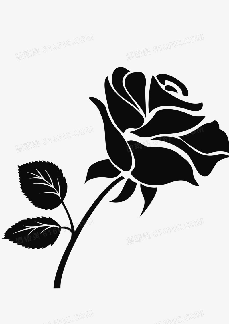 玫瑰植物黑白