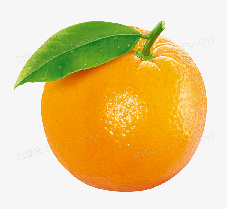 关键词:              桔子水果橙子