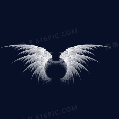 天使翅膀半透明透明边框透明图标透明翅膀免抠图透明纯白色透明爱心