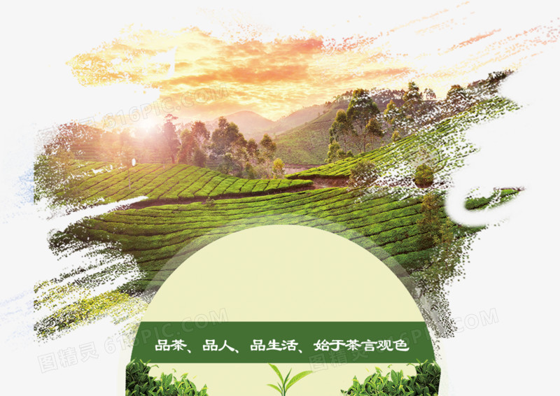 中国风茶叶宣传海报设计
