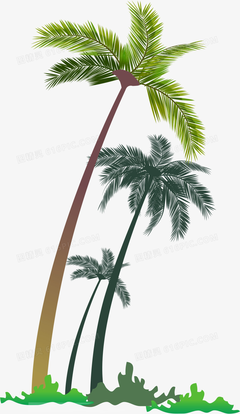 矢量椰树