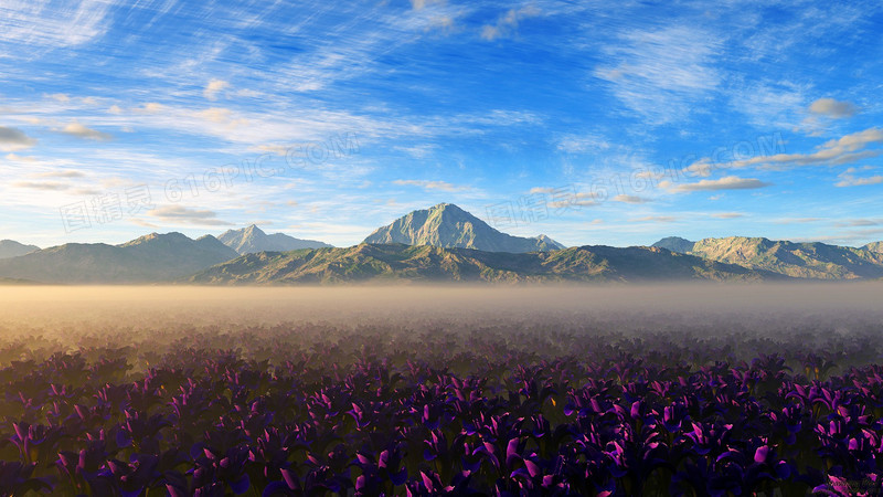 山下的紫色花丛海报背景