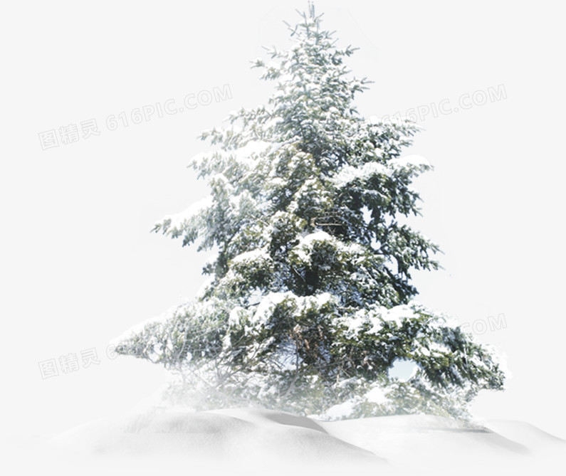 高清摄影冬天的雪景森林