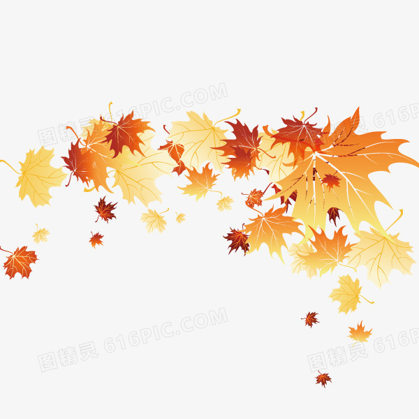 秋天树叶装饰