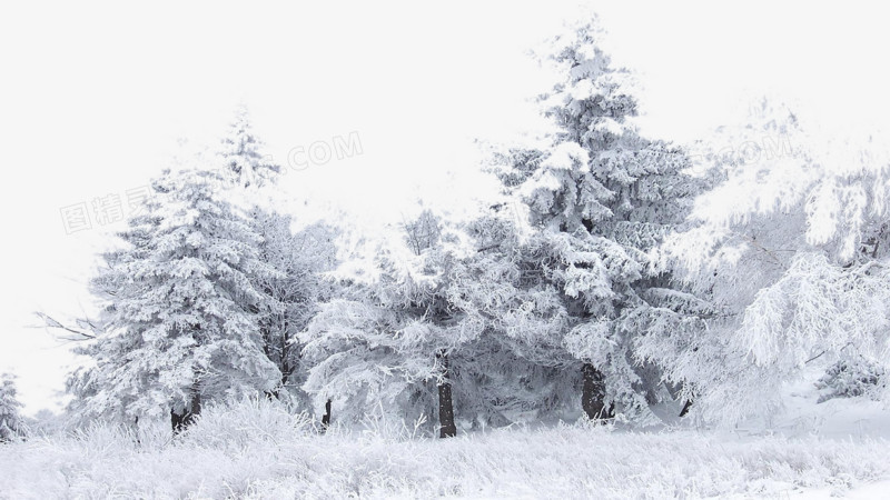 大雪