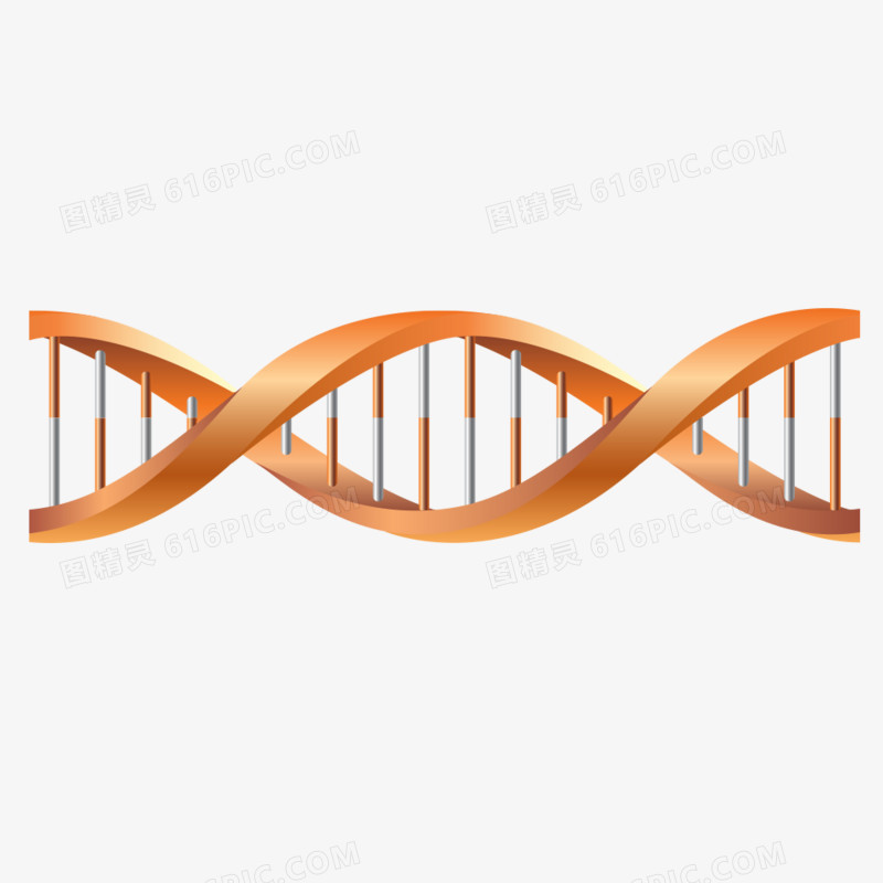 金黄色基因链矢量素材