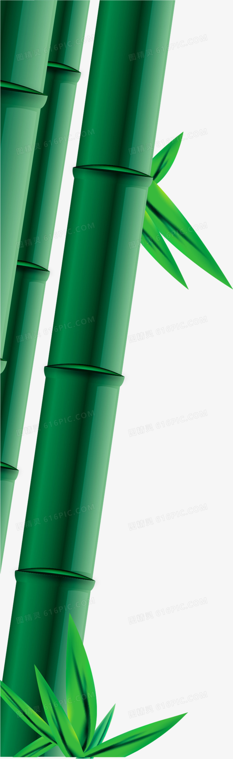 绿色竹子竹叶端午节装饰
