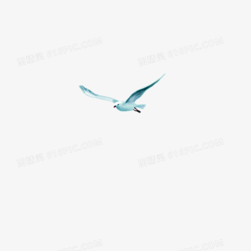 关键词:海鸥鸟飞翔图精灵为您提供海鸥免费下载,本设计作品为海鸥
