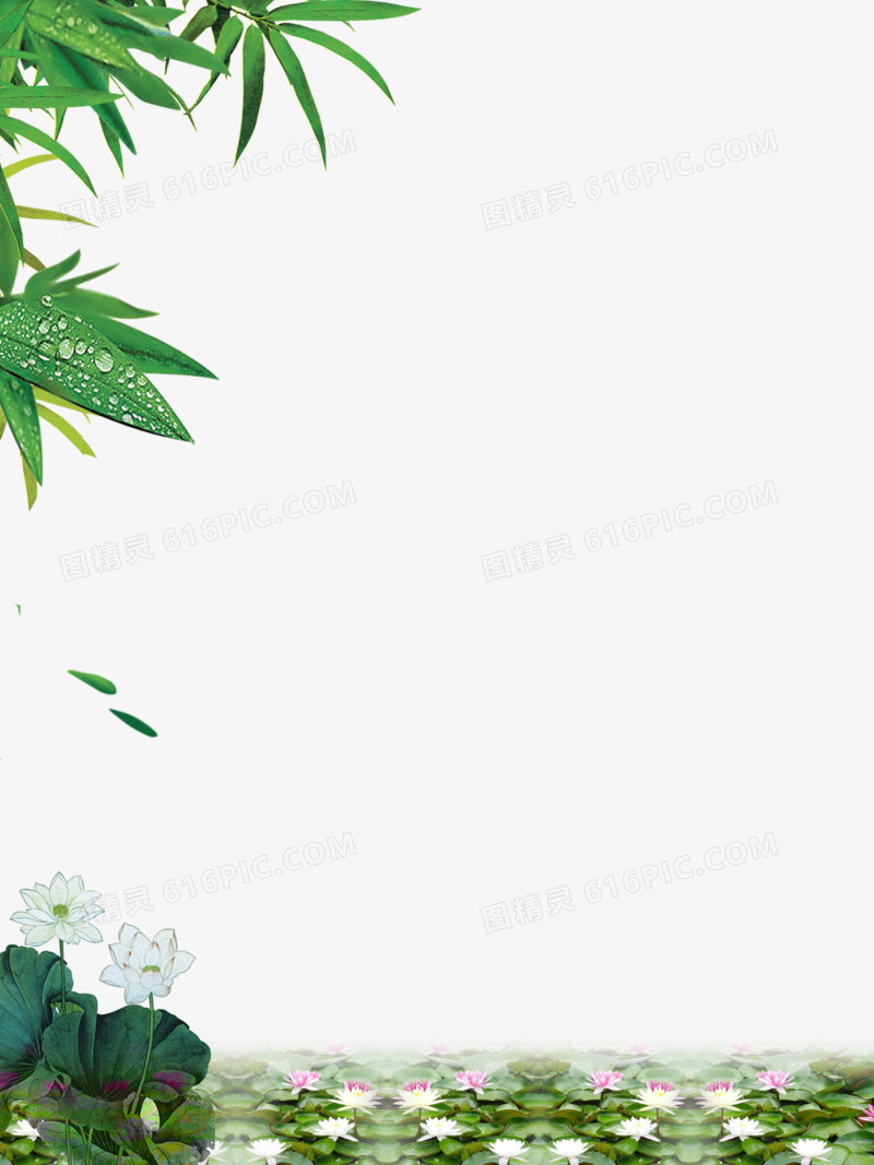 竹叶荷花美景图