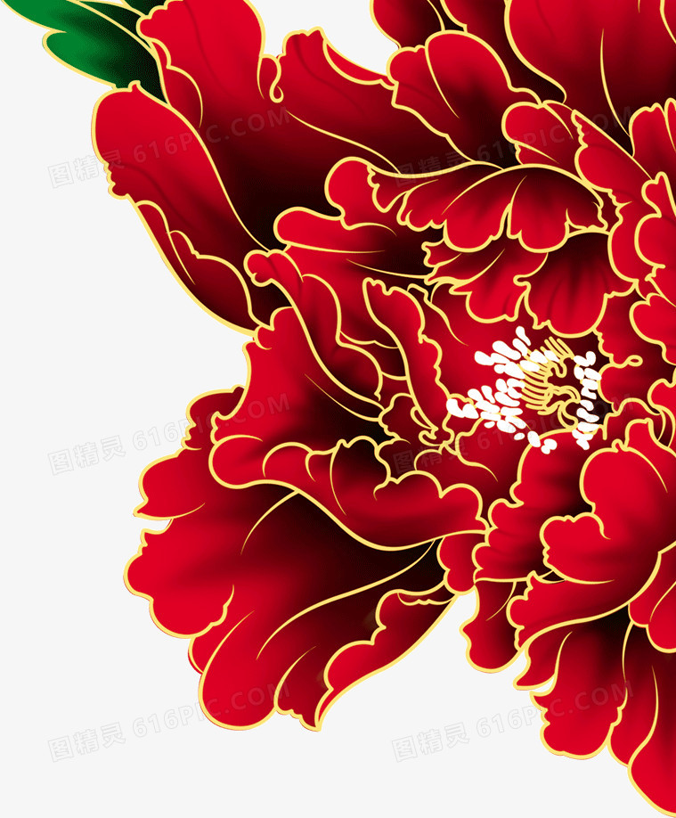 大红花