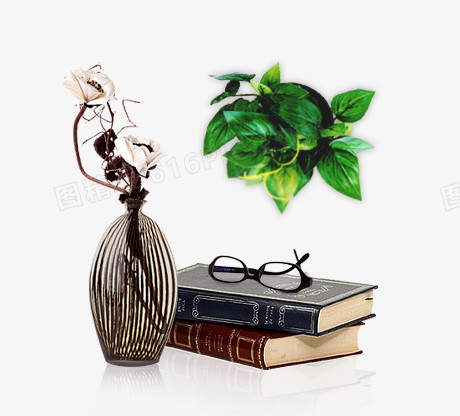 花瓶 绿色植物 书本 眼镜