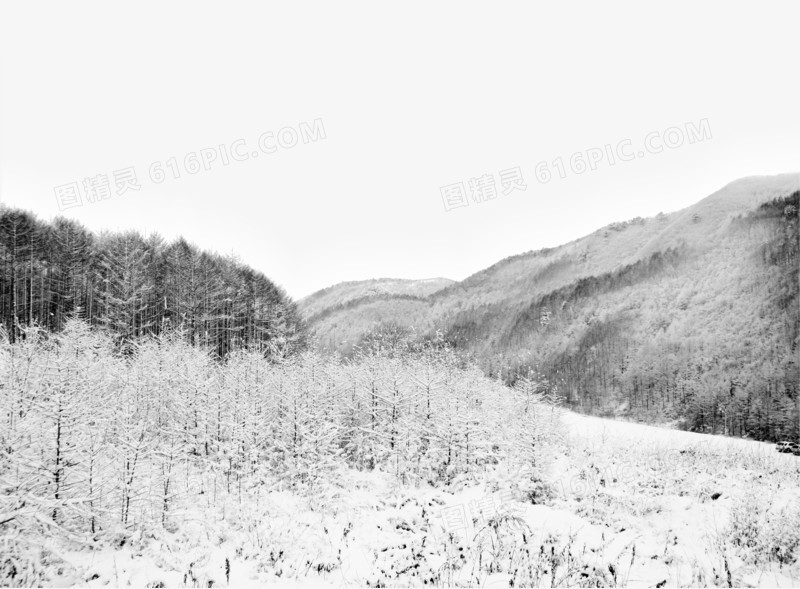 灰色高清冬季雪地风景