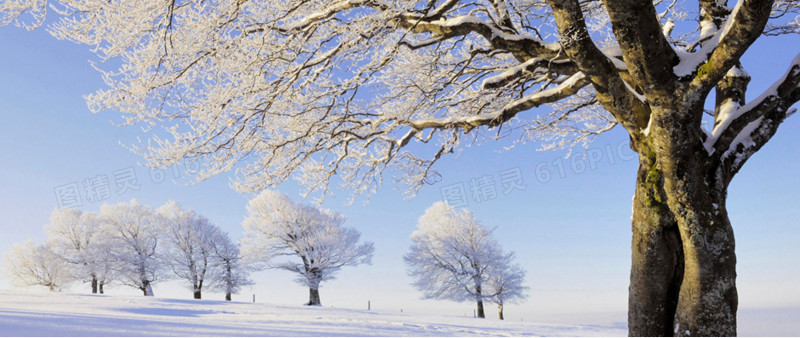 梦幻雪地大树风景