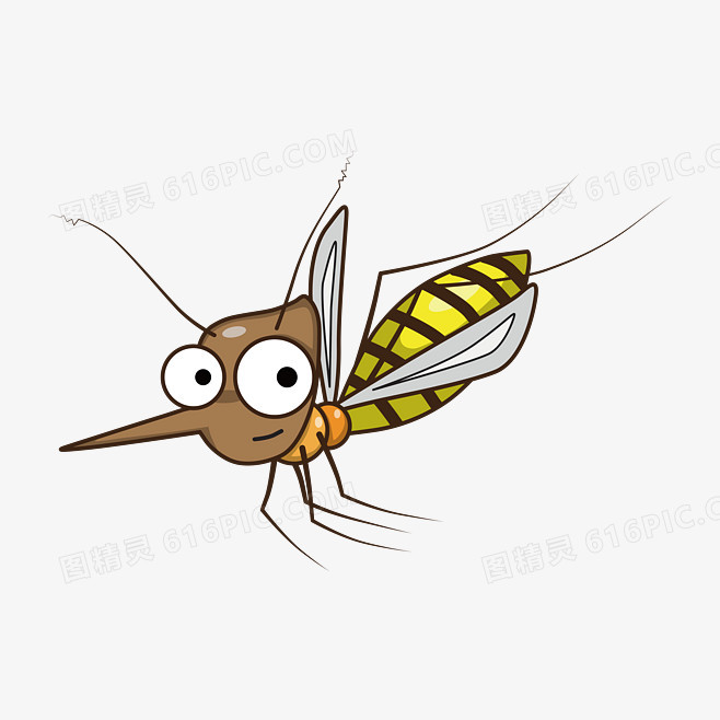卡通蚊子图片免费下载_高清png素材_图精灵