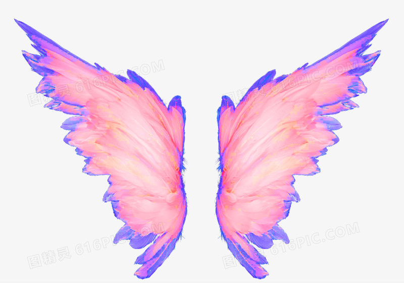 手绘粉色翅膀